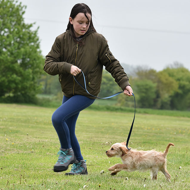 TAKE THE LEAD DOG TRAINING - SUFFOLK -GALLERY