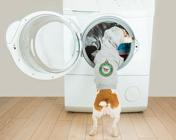 Dog bed outlet washing machine