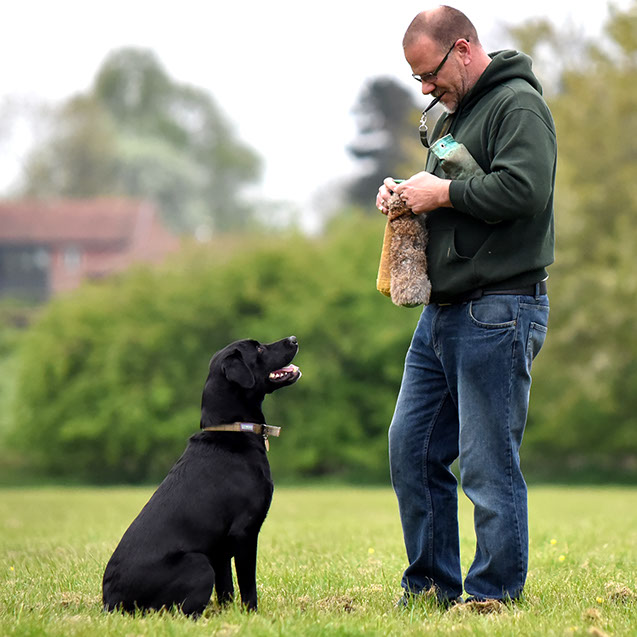 TAKE THE LEAD DOG TRAINING - SUFFOLK -GALLERY